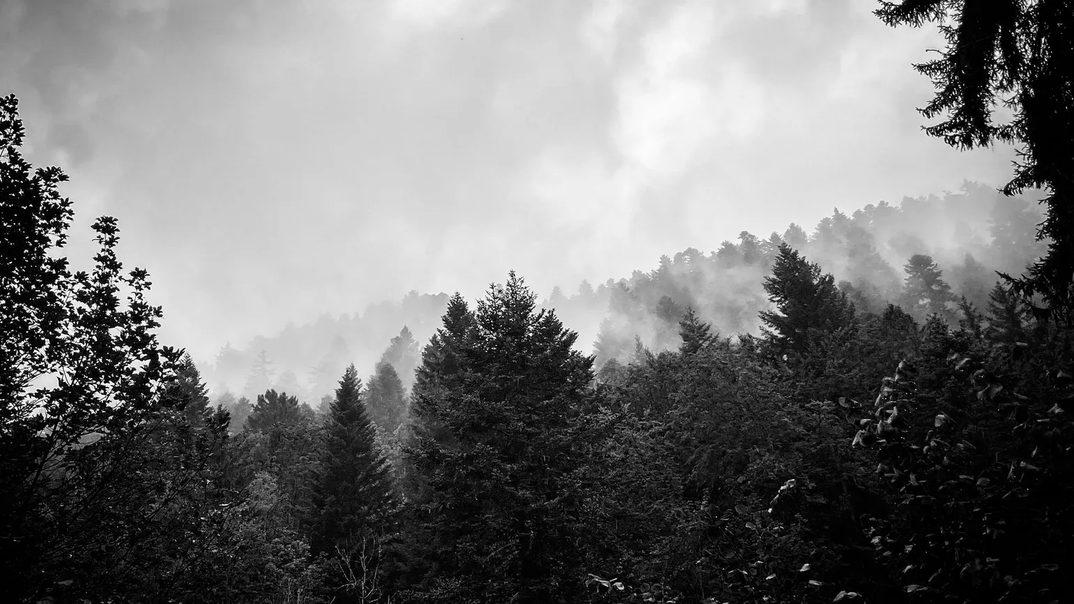 dernière maison avant la tempête, #2